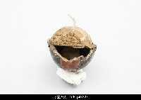 北京杖頭戲偶-花臉藏品圖，第5張